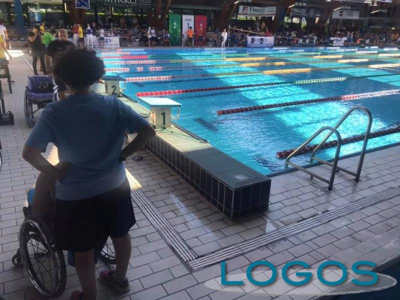 Il Nuoto Paralimpico Conquista Busto Logos News